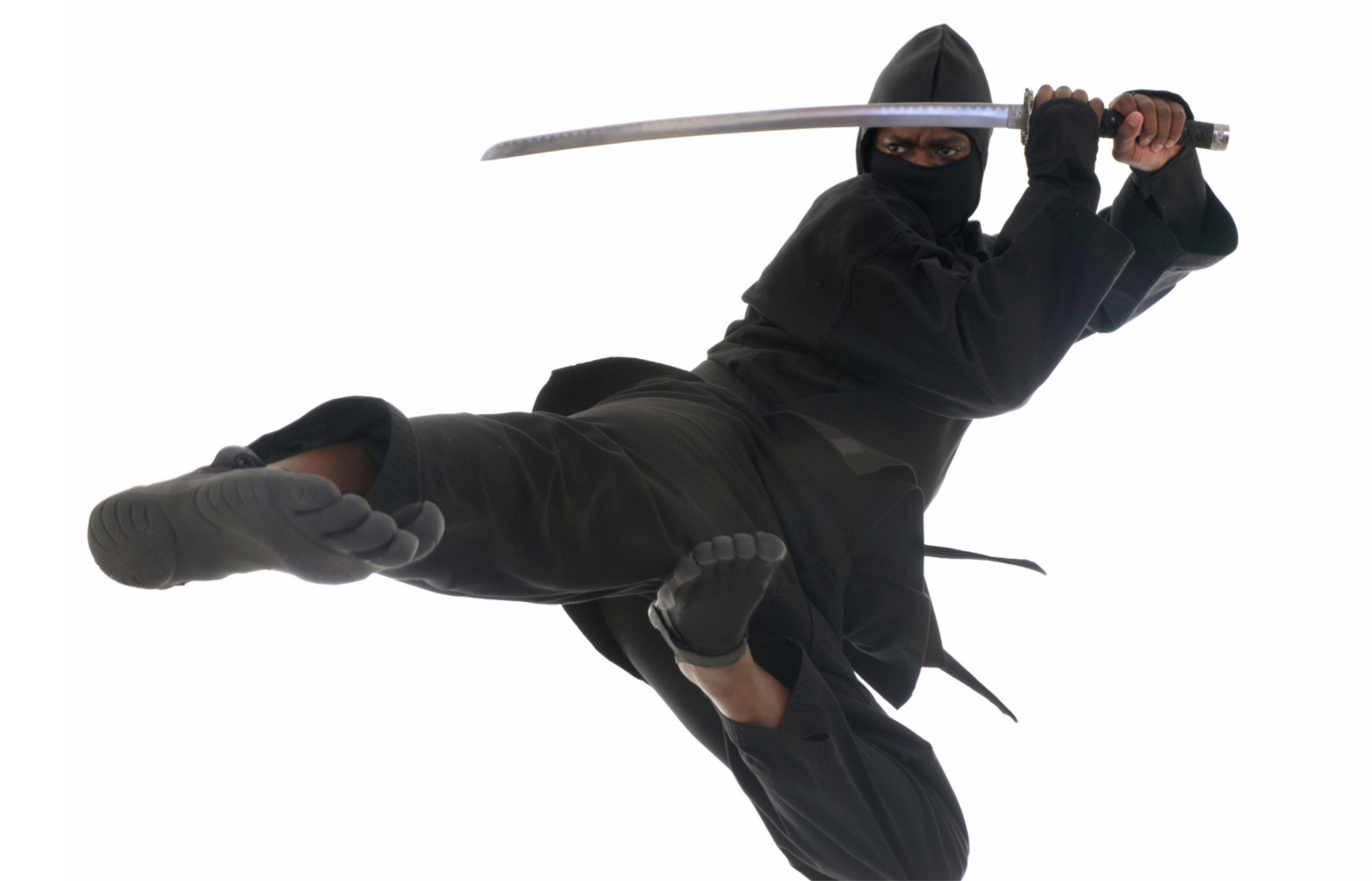 ninja-hg-20111024